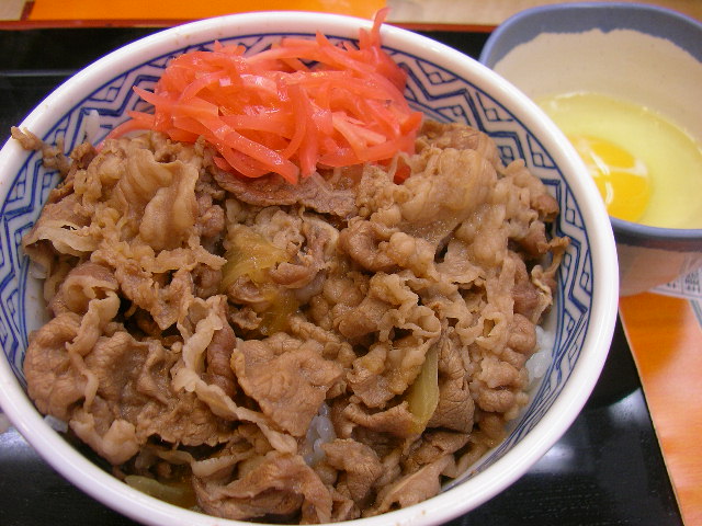 I could live off of donburi, a rice bowl topped with seasoned meat. So delicious and so affordable!